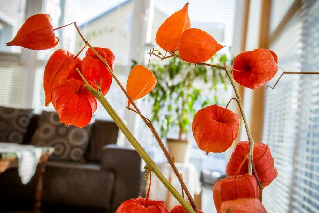 Ferienwohnung "Gaby" Freyung Ngoại thất bức ảnh